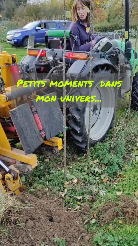 Petits moments dans mon univers 🌳💚
Chaque semaine, entre novembre et mars, c’est le temps des arrachages.
Une étape essentielle pour préparer vos commandes : sortir les jeunes arbres de terre avec soin avant qu’ils partent rejoindre leurs nouveaux jardins 🌱

#pépinieredelahunelle #pépinière #arrachagedarbres #productionlocale #arbresfruitiers #passionvégétale #travaildelaterre #culturedurable #plantsfruitiers #saisondesplantations #jardinbelge #vivredelaterre #petitsmoments #metierdepépinieriste #plaisirdetravaillerdehors #chievres #ath