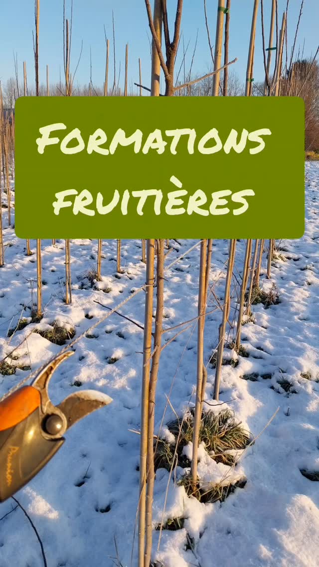 🌳 Formations fruitières – hiver 2026

Cet hiver, je vous propose trois formations pratiques à la pépinière :
🌱 taille des arbres fruitiers à pépins
🌿 taille des arbres palissés
🌱 greffage

Des matinées accessibles, concrètes et ancrées dans la pratique.

📅 Janvier • Février • Mars
📍 À la Pépinière de la Hunelle

👉 Toutes les infos dans le post suivant ou par message

 #taillefruitiers #greffage #pepiniere #formation #ath