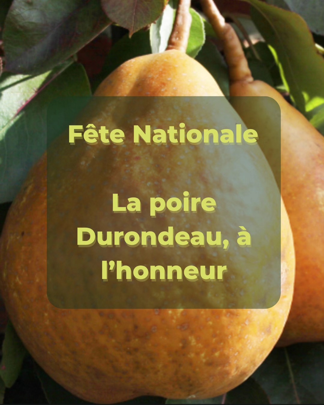 La Durondeau nationale
